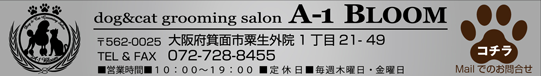 dog&cat grooming salon A-1 BLOOM